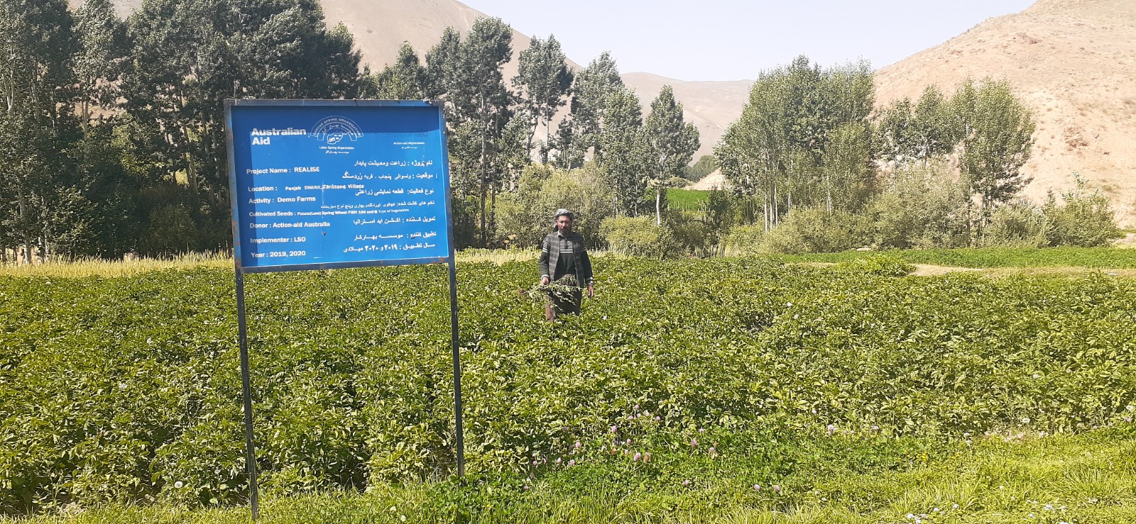 REALISE - Resilient Agriculture and Livelihood Initiative